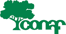 CONAF Forestal
